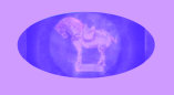 bucks_county_antiques_show_pa001024.jpg